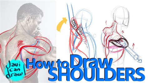 How To Draw Shoulders A Process Tutorial Youtube