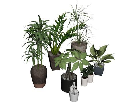 Draw lines is a versatile tool that you can use to create 2d and 3d shapes. House Plant Collection 3D Model - 3D CAD Browser