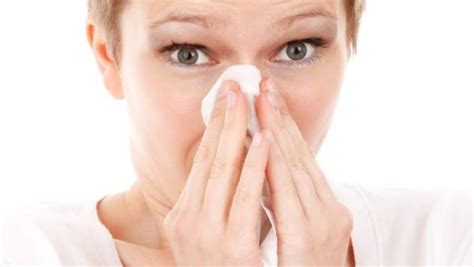 Alergia La Praf Cauze Simptome Factori De Risc Tratament Ziarmedical Ro