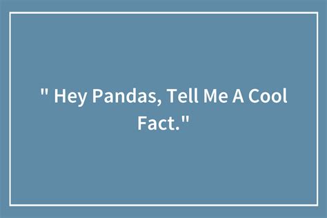 Hey Pandas Tell Me A Cool Fact Closed Bored Panda