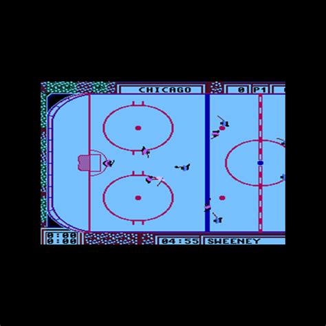 Wayne Gretzky Hockey Nintendo Nes