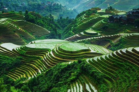The rice terraces of the cordilleras (on the island of luzon) ar a cultural landscape developed 2000 years ago by the ifugao people. Banaue Rice Terraces | Банауэ Рисовые террасы ⋆ WANTSEE