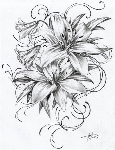 Lily Tattoo Drawing At Explore Collection Of Lily