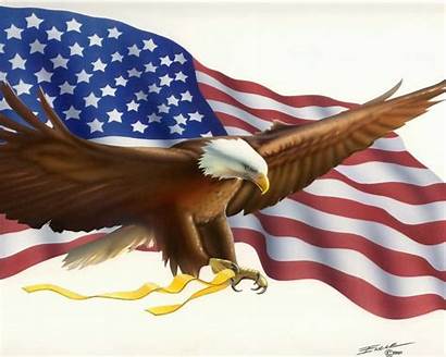 Flag American Eagle Bald Desktop America Symbols