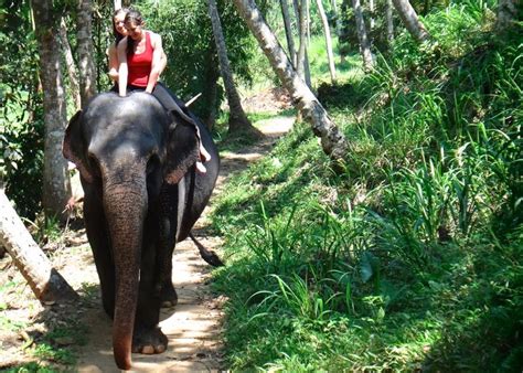 Pin Auf Elephants And Sexy Women Fun Travel