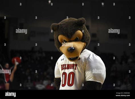 Belmonts Mascot Bruiser The Bruin In Nashville Tn On November 13