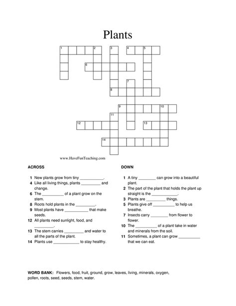 Plants Crossword Puzzle Have Fun Teaching