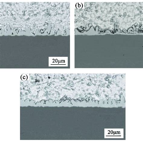 Interface Imc Microstructure Of Sn25ag07cu01rexnicu Solder Joints