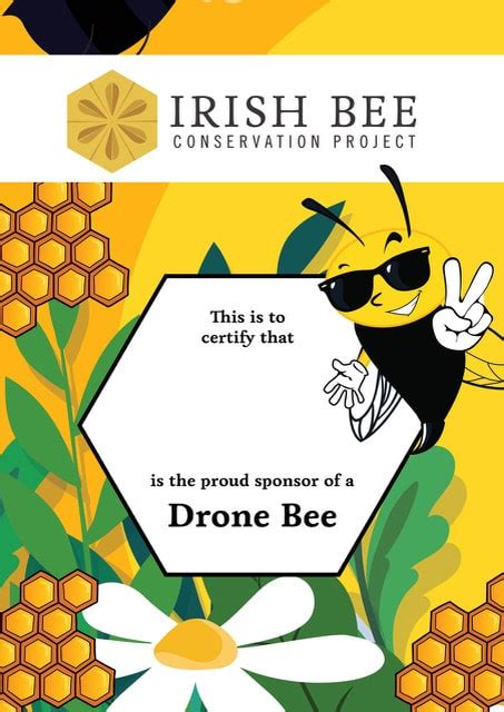 Drone Bee Irish Bee Conservation Project