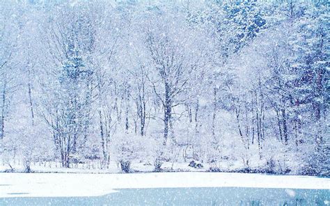 Pretty Winter Pictures Free Download