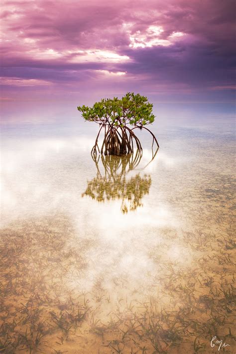 Fine Art Photographer Constance Mier Biscayne Bay