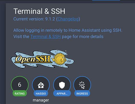 Home Assistant Community Add On SSH Web Terminal Home Assistant OS