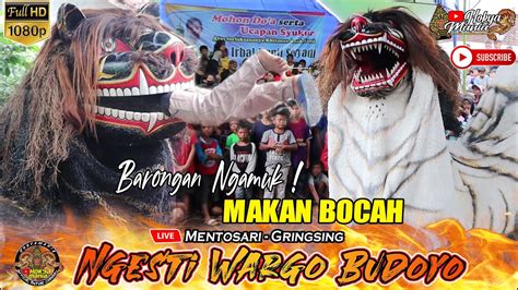 Barongan Nwb Ngesti Wargo Budoyo Terbaru‼️ Live Mentosari Gringsing