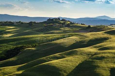 The Rolling Hills And Green Fields At Sunrise In Tuscany Stock Photo