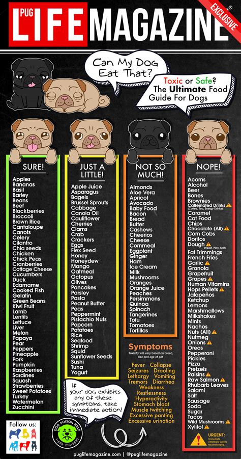 Keep reading for our list of foods dogs can't eat and those they can. Foods Pugs Can and Can't Eat? The Ultimate Food Guide for ...