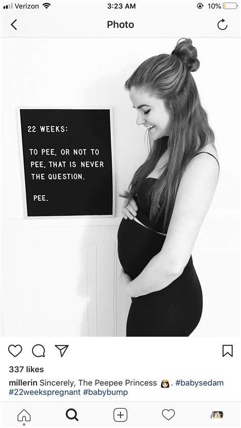 Pregnancy Baby Bump Quotes Babypregnancy