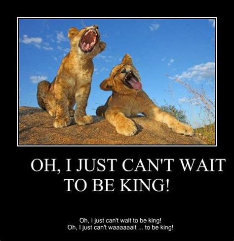 Live Action Lion King | Lion king funny, Lion king, Live action