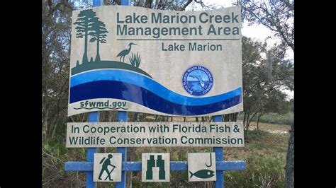 Phantom 3 Pro Above Lake Marion Creek Wildlife Managment Area Youtube