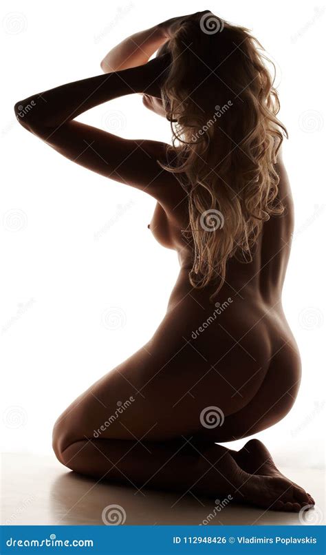 Silhouette Of Nude Female Stock Photo Image Of Model