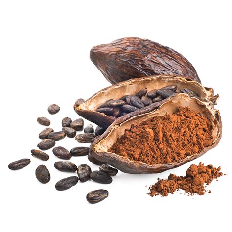 Cocoa Png Image Png Mart