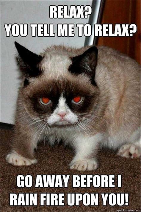 21 Super Funny Pics To Get Your Laugh On To Grumpy Cat