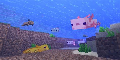 What Axolotls Eat In Minecraft