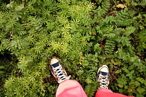 Kostenlose Foto Baum Wald Gras Person Schuh Menschen Pflanze