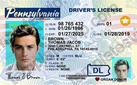 Pensylvania Pa Drivers License Psd Template Download 2022
