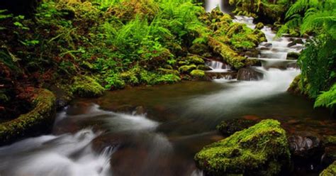 Fairyland Falls Along Ruckel Creek In The Columbia River Gorge National
