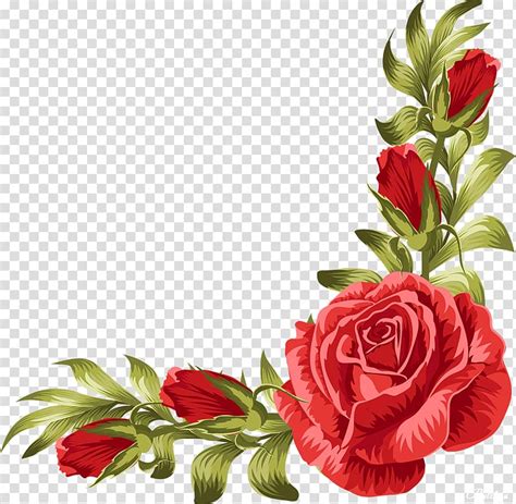 Red Rose Flower Frame Illustration Wedding Invitation Rose Flower Leaf