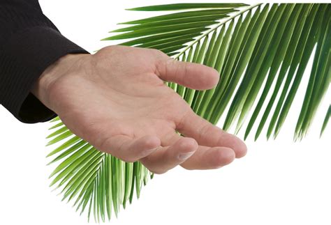 What Are The Most Important Palms Of Palm Sunday Palm Sunday 2018