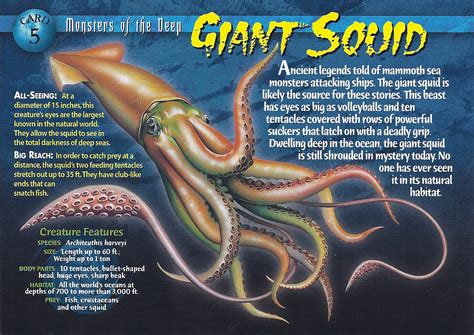 Giant Squid | Wierd N'wild Creatures Wiki | FANDOM powered by Wikia