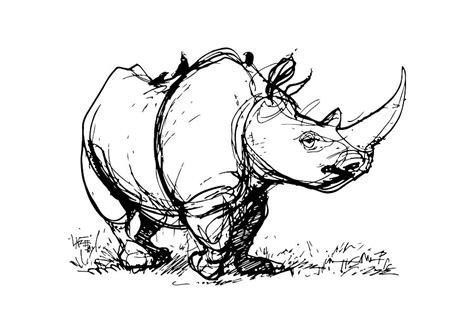 Rhino Line Drawing At Explore Collection Of Rhino