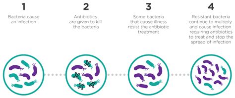 Tackling Antimicrobial Resistance And Antimicrobial Use A Pan Canadian
