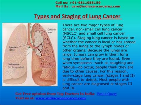 Types And Staging Of Lung Cancer