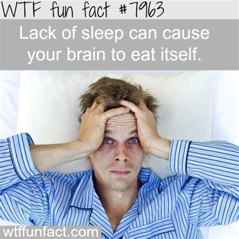 wtf facts funny interesting and weird facts wtf fun facts fun facts creepy facts
