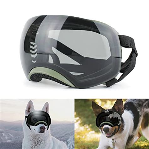 11 Best Dog Goggles 2022 Reviews Dog Eye Protection