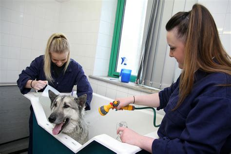 Page 16 Animal Care Reaseheath College