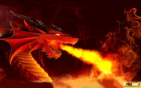 Live Dragon Wallpapers Top Free Live Dragon Backgrounds Wallpaperaccess