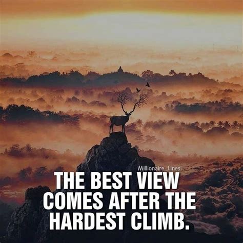 The Best View Comes After The Hardest Climb Pictures Photos And