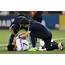 Tottenham Forward Heung Min Son Suffers Injury Blow On International Duty