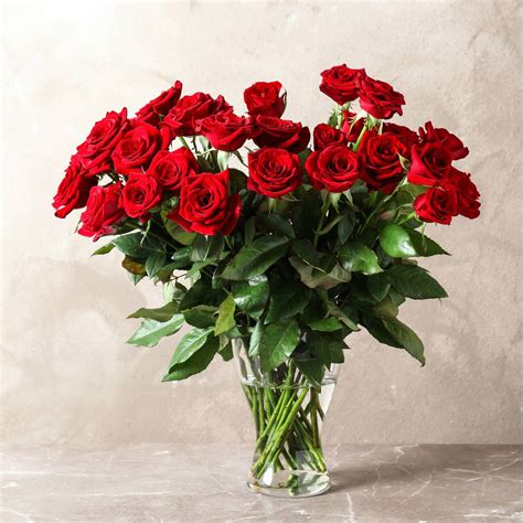 Three Four Or Five Dozen Red Roses In A Vase In San Francisco Ca