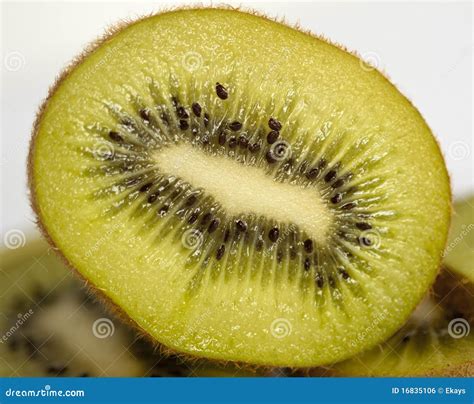 Kiwi Fruit Stock Photo Image Of Delicious Green Seed 16835106