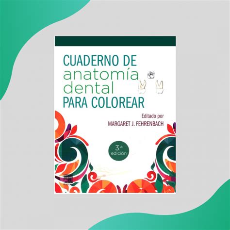 Fehrenbach Cuaderno De AnatomÍa Dental Para Colorear 3ed Elsevier