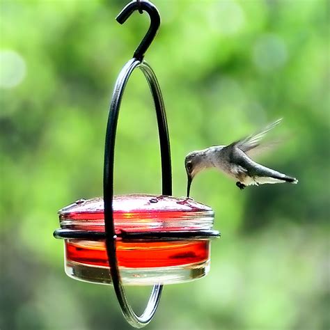 Ruby Red Hummingbird Feeder Yardbirds