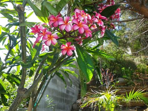 We did not find results for: 집에 관한 아이디어에 있는 핀