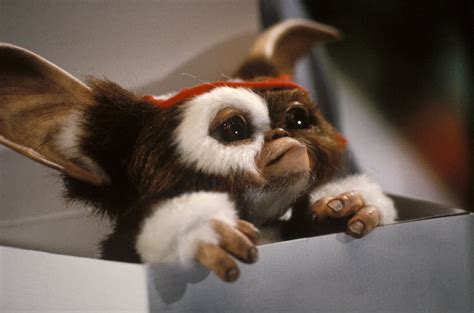 Gremlins Animated Series Is Coming To Warnermedia Streaming Service