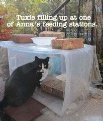 As soon as we got our yellow lab, jodie, i knew we were going to have a any new suggestions on keeping starlings from devouring feral kitty food? Feral Feeding Station | Feral cat shelter, Cat food ...