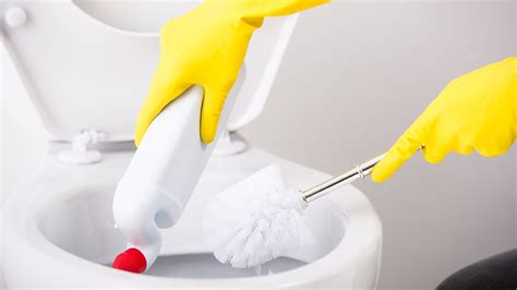 Ob badewanne, dusche, waschbecken, armaturen, toilette Die Toilette zu putzen, mag wohl niemand wirklich gerne ...
