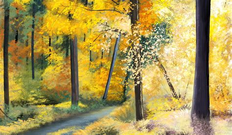 A Path Through Yellowed Forest 9gag